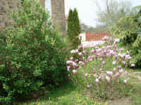 DSC00037_small.JPG (10154 octets)
