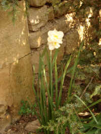 DSC00630.JPG (2406639 octets)