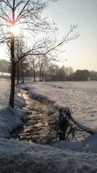 DSC00455.JPG (813638 octets)