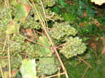 DSC01169.JPG (909315 octets)