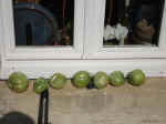 DSC01175.JPG (800268 octets)